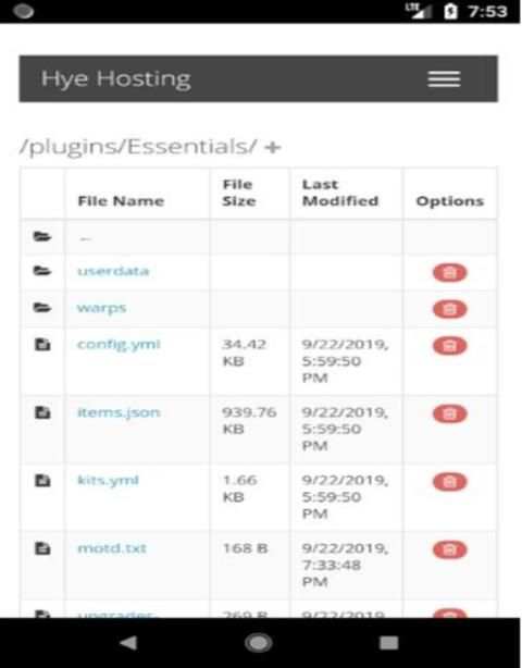 Hye Minecraft Server Hosting screenshot 1
