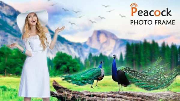 Peacock Photo Frame – Peacock Photo Editor screenshot 1