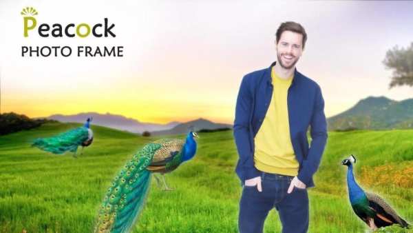 Peacock Photo Frame – Peacock Photo Editor screenshot 2