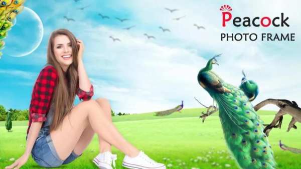 Peacock Photo Frame – Peacock Photo Editor screenshot 6