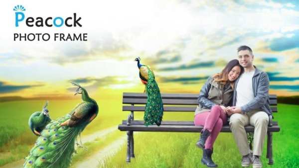 Peacock Photo Frame – Peacock Photo Editor screenshot 3