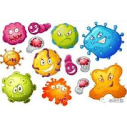 Funny Fungus 2.0