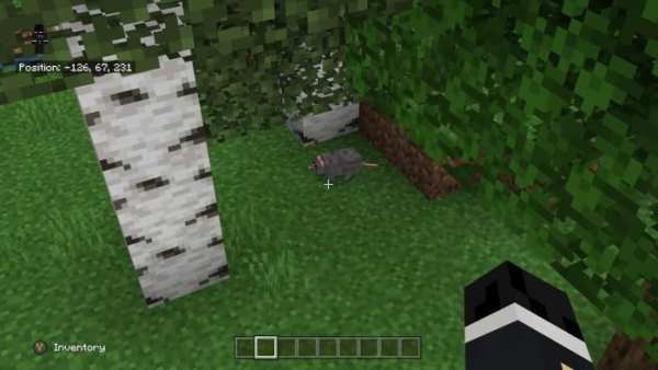 Pets Mod for MCPE screenshot 1