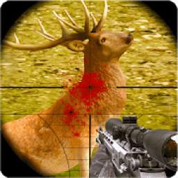 Deer Sniper Hunter 2019