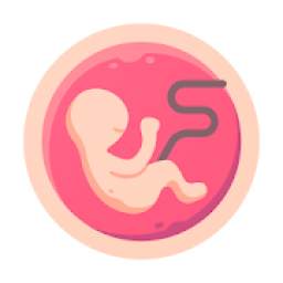 Pregnancy Symptoms - Pregnancy calculator