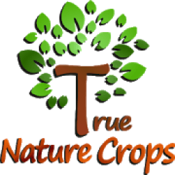 ikon True Nature Crops