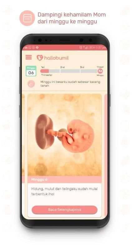 Hallobumil screenshot 5