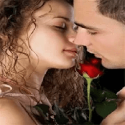 Status saver आइकन