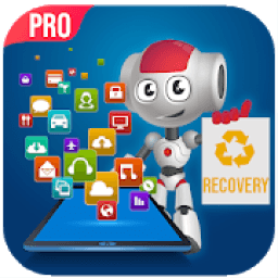 ikon disk photo recovery pro
