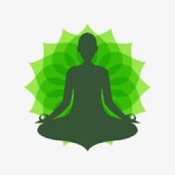 Daily Yoga And Meditation Free Home Fitness