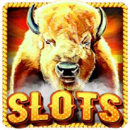 Slot Machine : Buffalo Slots