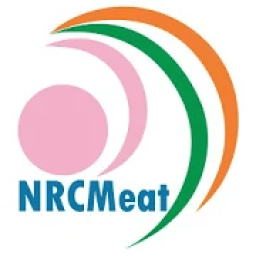 Meat App आइकन