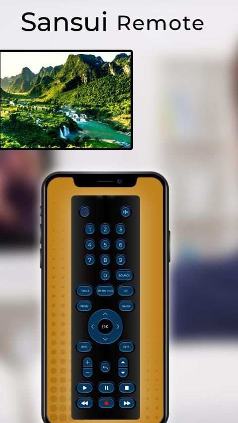 Remote Control For Sansui screenshot 3