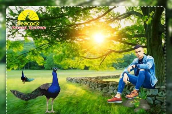 Peacock Photo Editor : Photo Frame screenshot 5