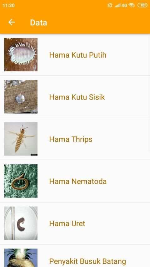 Pakar Nanas screenshot 3