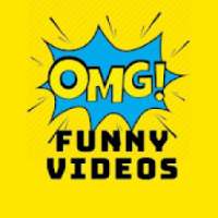 Funny Videos