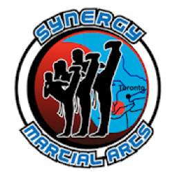 Synergy Martial Arts