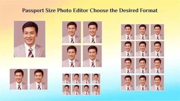 Passport & Id Photo Resizer And Crop screenshot 2