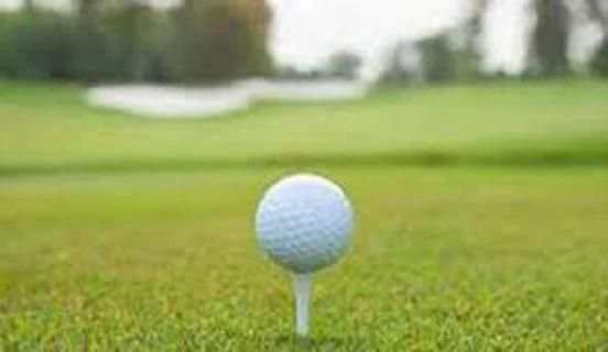 mini golf yang mini स्क्रीनशॉट 2