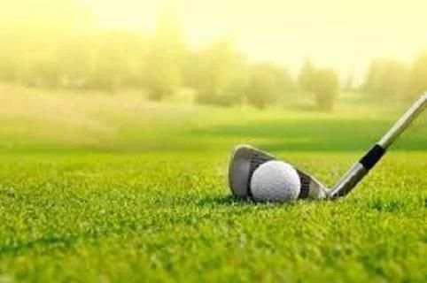 mini golf yang mini स्क्रीनशॉट 1