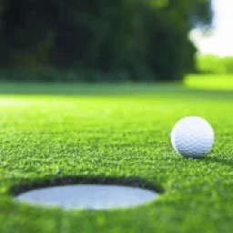 mini golf yang mini आइकन