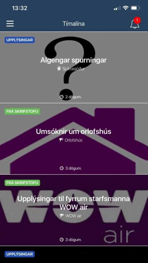 FVFI screenshot 3