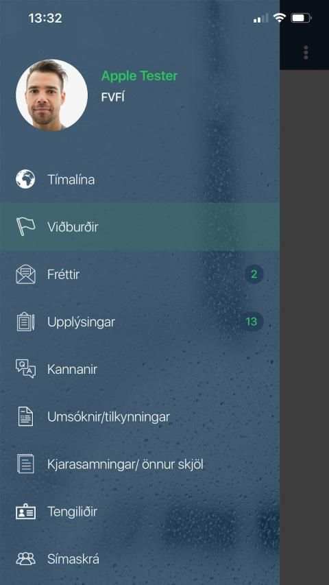 FVFI screenshot 4