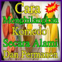 Cara Menghilangkan Komedo Secara Alami icon
