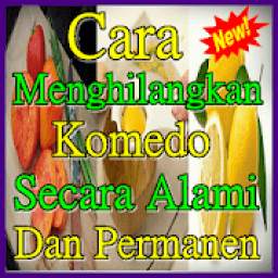 Cara Menghilangkan Komedo Secara Alami Dan Permanen 5.0.5