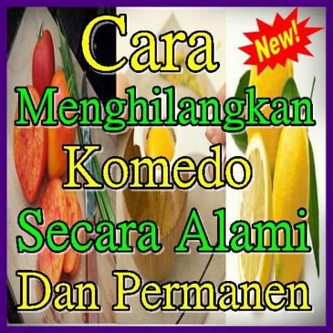 Cara Menghilangkan Komedo Secara Alami screenshot 2