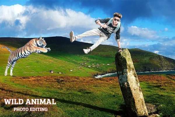 Wild Animal Photo Editor screenshot 9