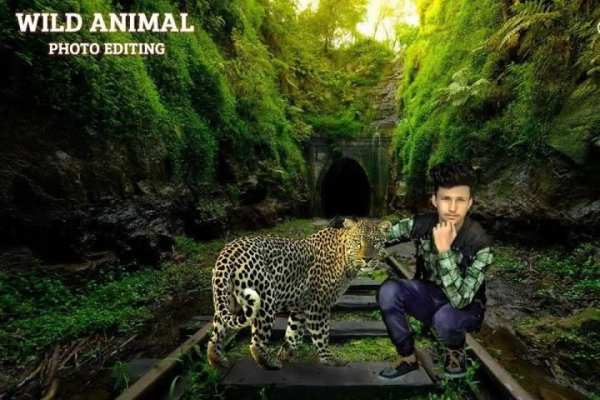 Wild Animal Photo Editor screenshot 7