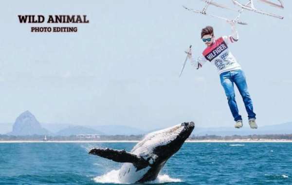 Wild Animal Photo Editor screenshot 6