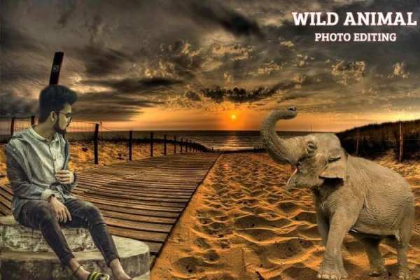 Wild Animal Photo Editor screenshot 11