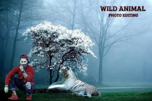 Wild Animal Photo Editor screenshot 1