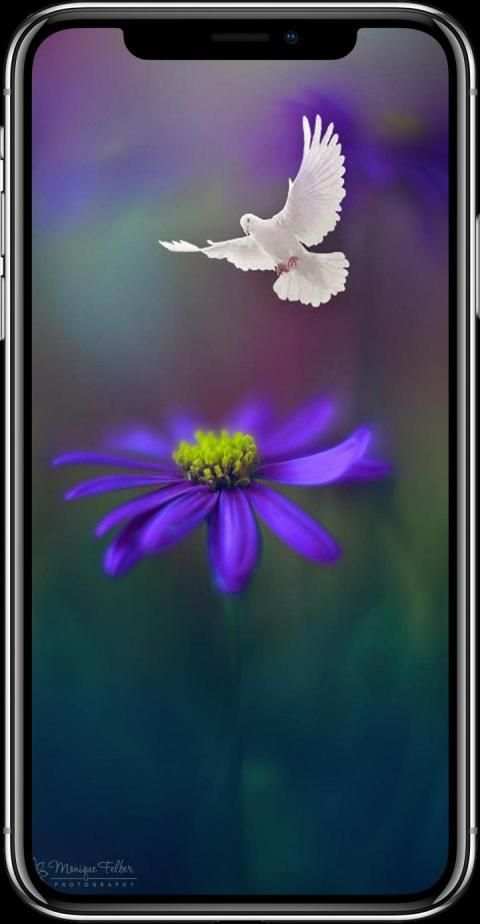 HD Oneplus 8 Wallpaper स्क्रीनशॉट 3