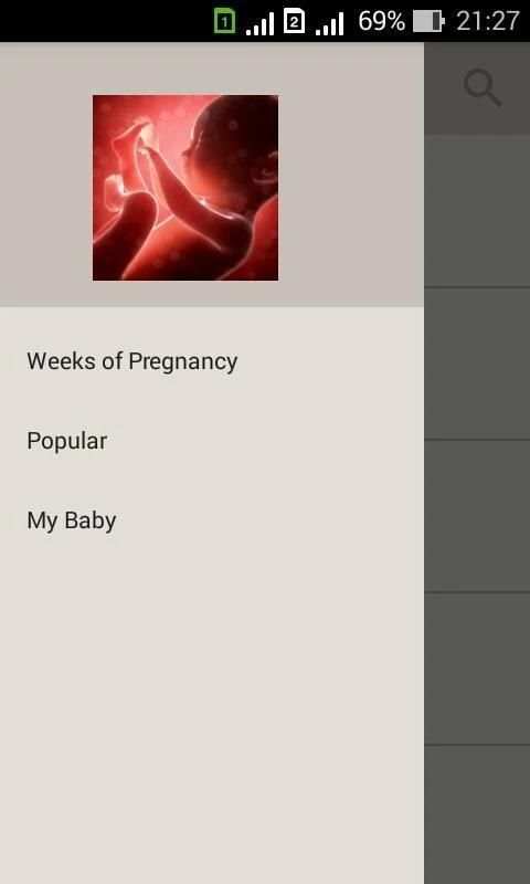 Pregnancy week by week. Expecting baby. Diary screenshot 5