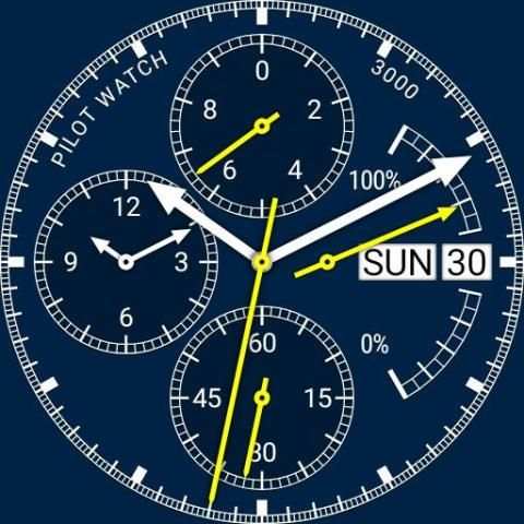 Pilot Watch 3000 screenshot 2