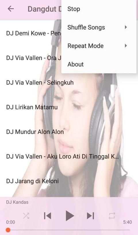 Dangdut DJ Remix screenshot 1