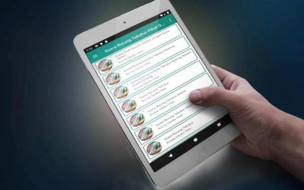 Suara Burung Tekukur Pikat Offline screenshot 2