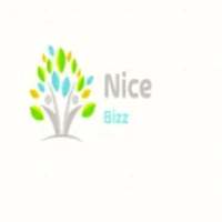 NiceBizz on 9Apps