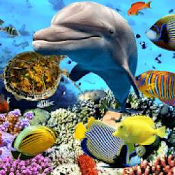Aquarium Fish Live Wallpaper 2019
