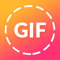 GIF Maker, Editor, Compressor & Video GIF - GIFY