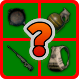 ikon PUBG MOBILE Guessing