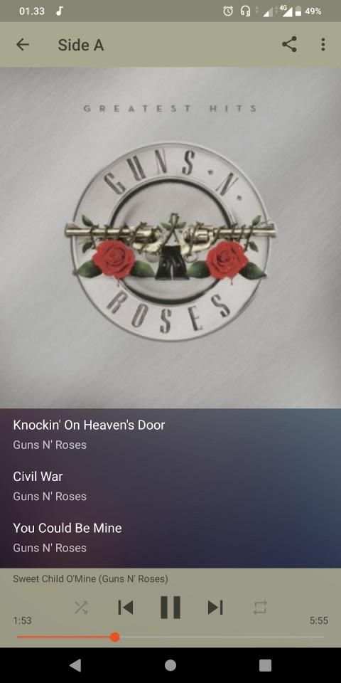 Guns N'Roses Greatest Hits screenshot 2