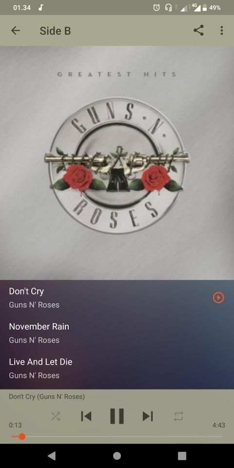 Guns N'Roses Greatest Hits screenshot 1