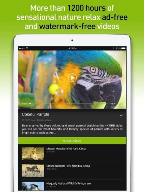 4K Nature Relax TV स्क्रीनशॉट 6