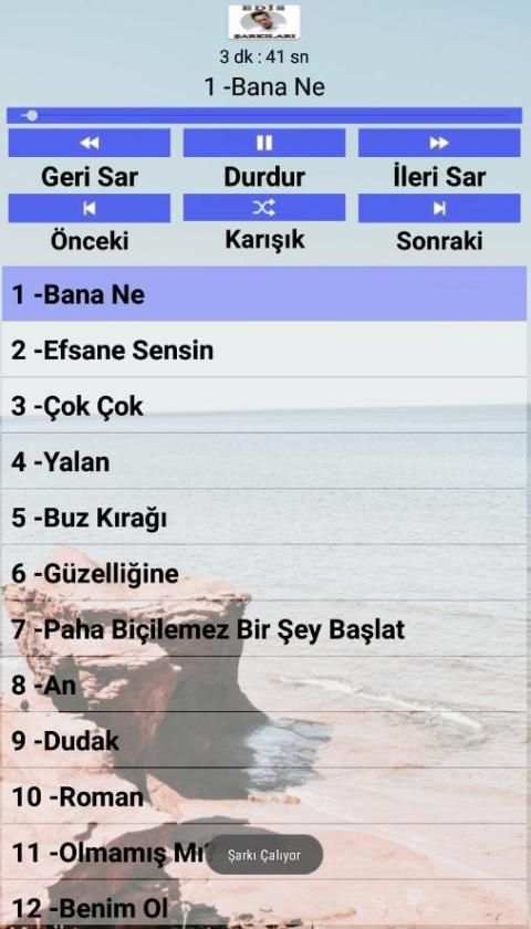 EDİS Şarkıları ( İnternetsiz ) screenshot 2