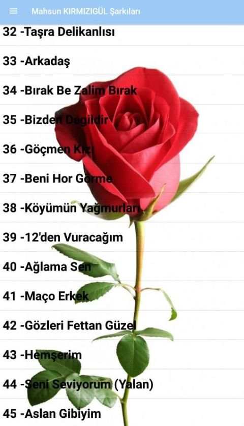 Mahsun KIRMIZIGÜL Şarkıları ( İnternetsiz ) screenshot 4