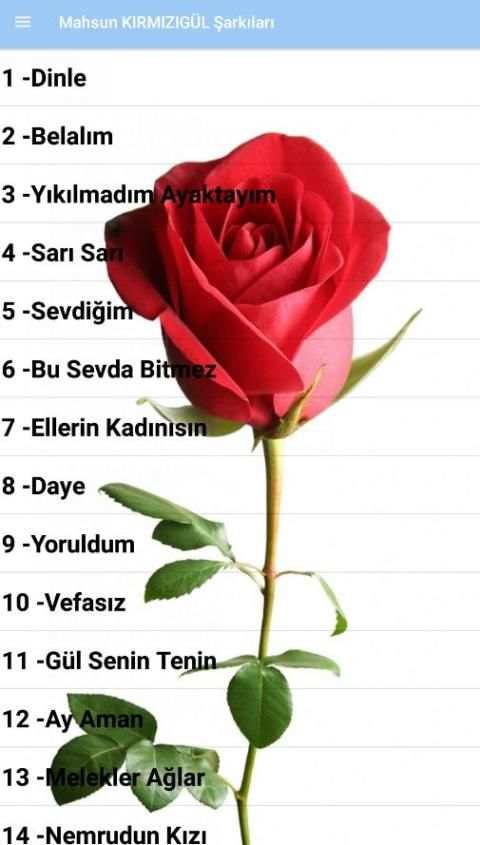 Mahsun KIRMIZIGÜL Şarkıları ( İnternetsiz ) screenshot 5